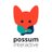Possum Interactive