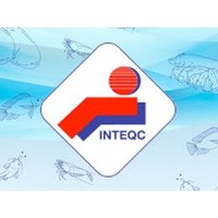 INTEQC Group