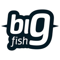 BIG FISH Internet-technology