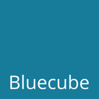 Bluecube Technology Solutions