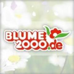 Blume 2000 New Media Ag