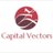 Capital Vectors