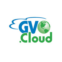 goVirtualOffice NetSuite Solution Provider
