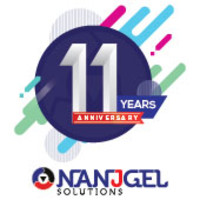 Nanjgel Solutions