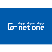 Net One Systems USA