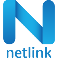 Netlink Software Group America