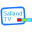 sallandtv.nl