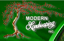 Modern Landscaping