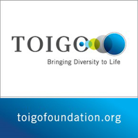 Robert Toigo Foundation