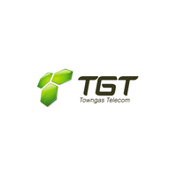Towngas Telecom (TGT)