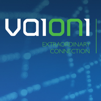 Vaioni Group Ltd.
