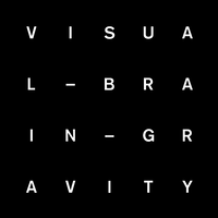 Visual Brain Gravity