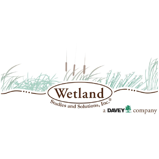 wetlands.com